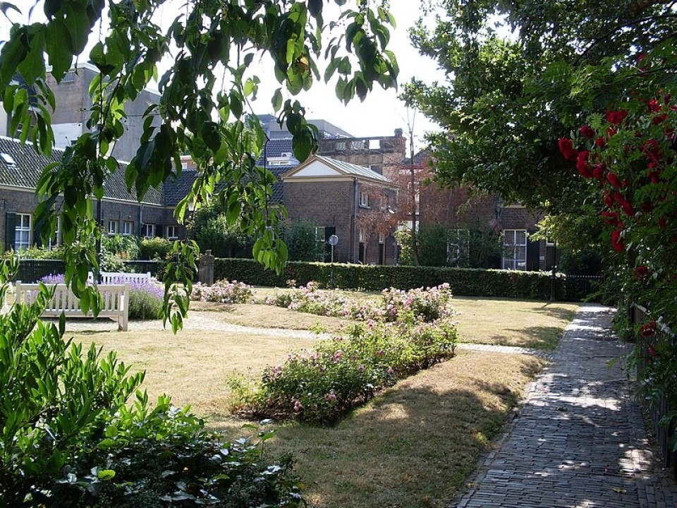<h3><strong>Lutherse Hofje &ndash; A Hidden Monument in Haarlem 🏛️</strong></h3>
<p>Tucked away behind a <strong>modest entrance</strong>, <strong>Lutherse Hofje</strong> is a <strong>beautiful 17th-century courtyard</strong> that once housed <strong>elderly Lutheran women</strong>.</p>
<p>🌟 <strong>Why Visit?</strong><br>✅ A <strong>hidden gem</strong> with <strong>tranquil gardens</strong> 🌿<br>✅ Stunning <strong>historic architecture</strong><br>✅ A great spot for <strong>quiet reflection</strong></p>
<p>💡 <strong>Fun Fact:</strong> It was <strong>founded in 1615</strong> and is still <strong>used as housing today</strong>!</p>
<p>📍 <strong>Find peace in the hidden beauty of Lutherse Hofje.</strong></p>