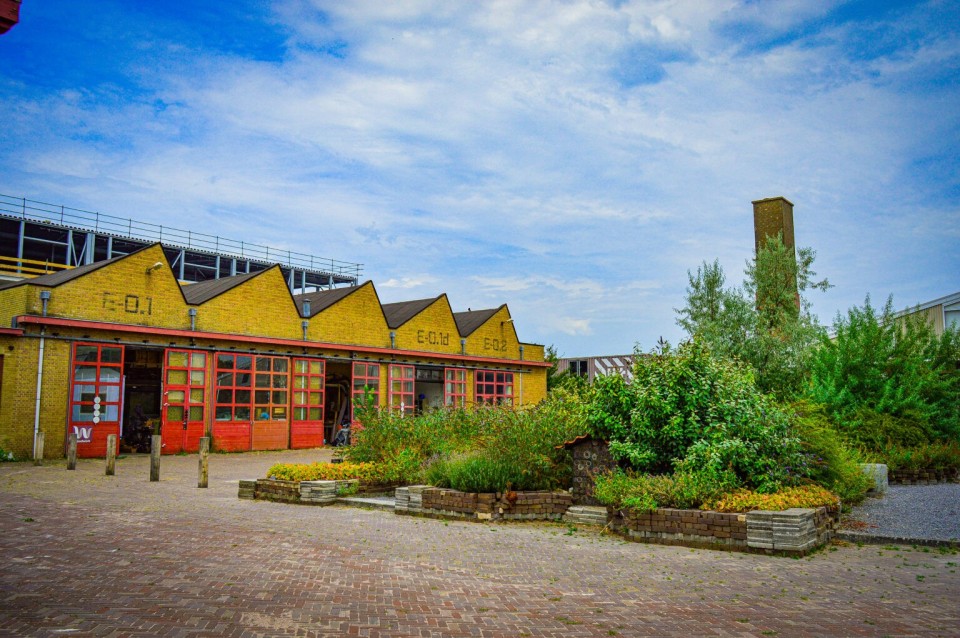 <h3><strong>MAAK Grounds &ndash; Creative &amp; Industrial Innovation Hub 🏗️</strong></h3>
<p>MAAK Grounds is a <strong>cultural and creative hotspot</strong>, home to <strong>artists, makers, and tech innovators</strong>.</p>
<p>🌟 <strong>Why Visit?</strong><br>✅ See <strong>local artists &amp; entrepreneurs at work</strong> 🎨👨&zwj;🔬<br>✅ A mix of <strong>exhibitions, workshops &amp; events</strong><br>✅ One of Haarlem&rsquo;s <strong>most unique modern spaces</strong></p>
<p>📍 <strong>Discover Haarlem&rsquo;s creative side at MAAK Grounds!</strong></p>