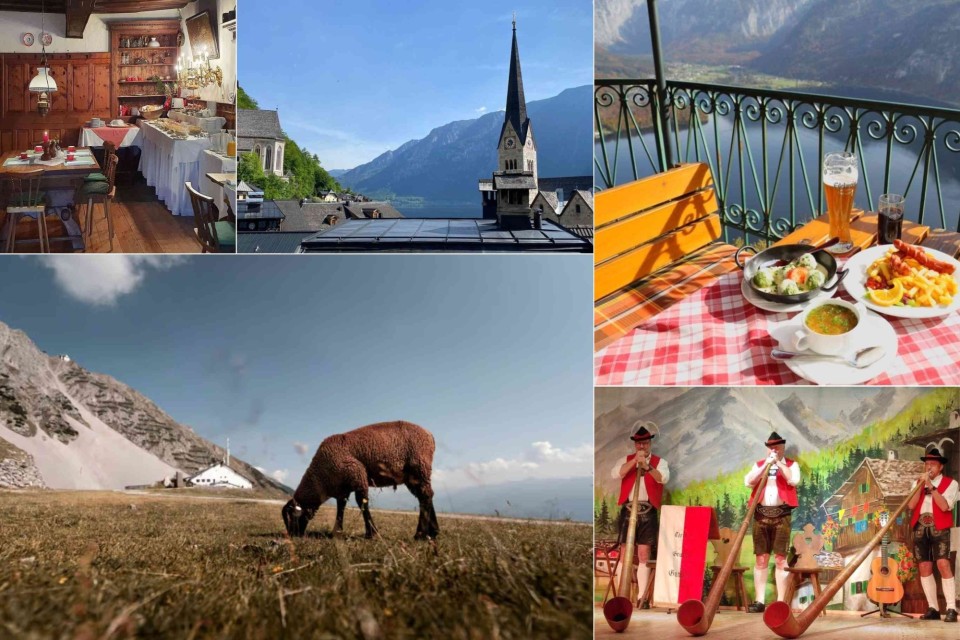 <p data-start="238" data-end="329"><strong data-start="238" data-end="327">Taste Innsbruck’s authentic flavors on a guided food walk  </strong></p>
<p data-start="331" data-end="516">Follow your local guide through Innsbruck’s charming old town and discover the city’s culinary secrets — from cozy alpine taverns to artisan bites and traditional Austrian dishes. 🍽️</p>
<p data-start="518" data-end="587">A perfect mix of culture, history and flavor — made to be savored.</p>
<p data-start="589" data-end="814">🎟️ <strong data-start="593" data-end="617">Book your Food Walk:</strong><br data-start="617" data-end="620">👉 <a class="decorated-link cursor-pointer" target="_new" rel="noopener" data-start="623" data-end="812">Innsbruck Food Walk – Private Tour</a></p>
<p data-start="816" data-end="950" data-is-last-node="" data-is-only-node="">#hotelEU #Innsbruck #Austria #FoodWalk #CulinaryTour #Tyrol #TravelEurope #GetYourGuide #BookWithHotelEU #SmartTravel #DiscoverAustria</p>