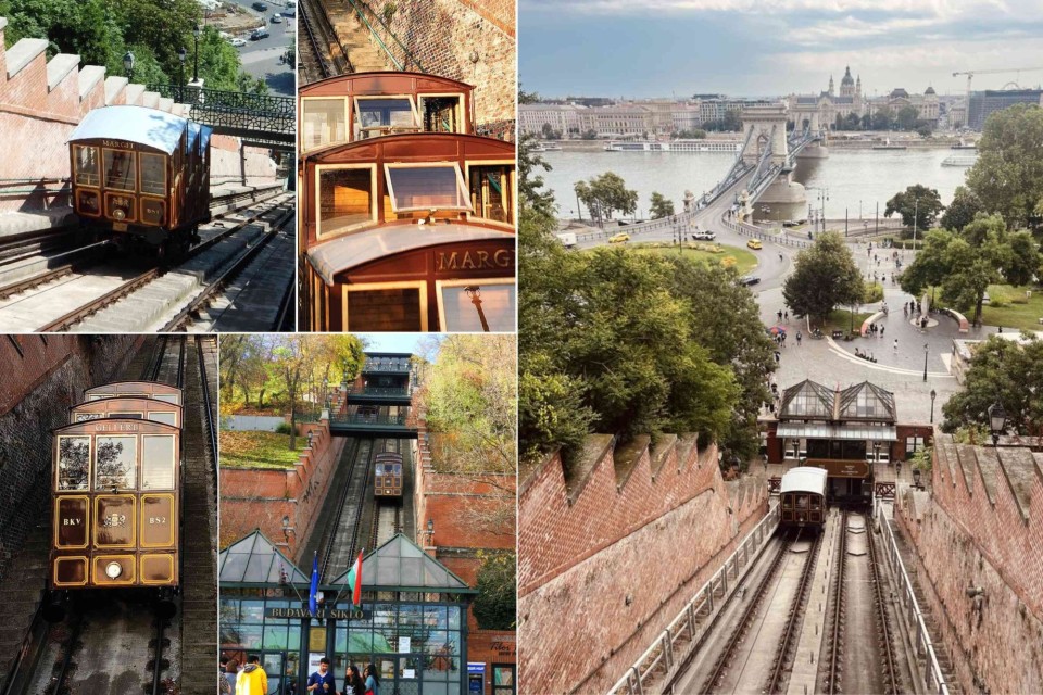<h3 data-start="336" data-end="389">🚋 <strong data-start="343" data-end="389">Budav&aacute;ri Sikl&oacute; &ndash; The Castle Hill Funicular&nbsp;</strong></h3>
<p data-start="391" data-end="862">Connecting the riverfront to Buda Castle, the Budav&aacute;ri Sikl&oacute; has been carrying passengers since 1870.&nbsp;<br data-start="496" data-end="499">It&rsquo;s one of Budapest&rsquo;s most iconic sights &mdash; two vintage carriages moving up and down the hill, with beautiful views of the <strong data-start="622" data-end="638">Chain Bridge</strong> and <strong data-start="643" data-end="651">Pest</strong> across the river.&nbsp;<br data-start="669" data-end="672">The ride takes only a few minutes, but it&rsquo;s worth it for the view alone.&nbsp;<br data-start="744" data-end="747">Tip: go up by funicular and walk back down through the castle gardens for the best mix of sightseeing and photos.&nbsp;</p>
<p data-start="864" data-end="1024">#Budapest #Hungary #BudavariSiklo #Funicular #CastleHill #ChainBridge #CityGuide #TravelEurope #BudapestViews #CulturalHeritage #DiscoverBudapest #UrbanTravel</p>