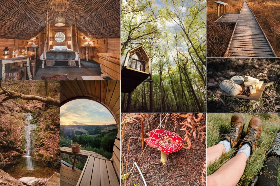 <p data-start="143" data-end="207"><strong data-start="143" data-end="207">Belgium&rsquo;s Wild Heart of Nature and Tranquility&nbsp;</strong></p>
<p data-start="209" data-end="489">The Ardennes is the kind of place where you can breathe deeper, slow down and feel the world soften around you. Dense forests stretch toward the sky, wooden cabins glow with warm light and winding trails lead you to hidden waterfalls, quiet valleys and the simple magic of nature.</p>
<p data-start="491" data-end="913">Wake up in a cozy hideaway surrounded by wood and silence, step outside into a canopy of green and let the forest guide you. Wander across wooden boardwalks through golden grasslands, discover bright red mushrooms peeking through the moss or share a rustic picnic of bread and local cheese as sunlight filters between the trees. Sink into a warm sauna with views over rolling hills and feel time gently pause for a moment.</p>
<p data-start="915" data-end="1138">Whether you come for adventure or peace, for hiking boots or soft blankets, the Ardennes wraps you in pure calm and earthy beauty. It is nature, comfort, wonder and escape, all woven together into one unforgettable retreat.</p>
<p data-start="1140" data-end="1279" data-is-last-node="" data-is-only-node="">#Ardennes #VisitWallonia #BelgiumTravel #IntoTheWoods #NatureEscape #CozyCabins #HiddenGemsBelgium #TravelEurope #WanderBelgium #SlowTravel</p>