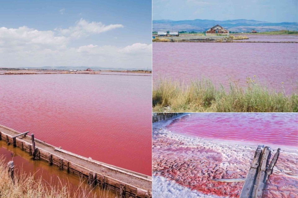 <p data-start="2701" data-end="3118"><strong data-start="2701" data-end="2759">Pomorie&rsquo;s pink lake, a surreal wonder shaped by nature&nbsp;</strong><br data-start="2759" data-end="2762">Along the Black Sea coast lies Pomorie&rsquo;s remarkable pink salt lake, glowing softly in shades of rose and coral. Its unique color comes from natural minerals and micro organisms and the lake is known for its healing mud and peaceful atmosphere. With every shift of sunlight, the water transforms into a new palette.&nbsp;<br data-start="3076" data-end="3079">A magical place unlike anywhere else.&nbsp;</p>
<p data-start="3120" data-end="3212">Location: Pomorie Salt Lakes&nbsp;<br data-start="3148" data-end="3151">#Pomorie #PinkLake #BulgariaNature #SaltLakes #TravelBulgaria&nbsp;</p>