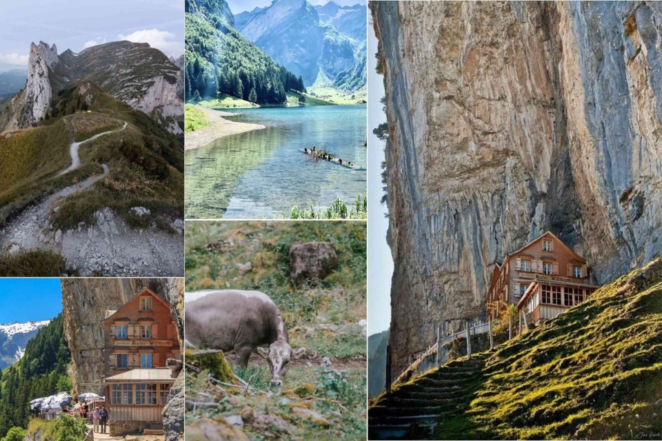 <p data-start="256" data-end="996"><strong data-start="256" data-end="319">Aescher, mountains, silence and pure Swiss&nbsp;</strong><br data-start="319" data-end="322">Hidden high in the Alpstein mountains, the Aescher cliffhouse feels like a secret carved into the rock. Perched against towering limestone walls, it overlooks green valleys, wildflower meadows and trails that wind gently through the mountains. The climb up is beautiful, passing grazing cows, forest paths and views that open wider with every step.&nbsp;<br data-start="670" data-end="673">Just beyond, Seealpsee glows in clear emerald tones, a peaceful lake surrounded by peaks that rise sharply from the shore. The entire region feels untouched, quiet and impossibly scenic.&nbsp;<br data-start="859" data-end="862">Aescher and the Alpstein are nature at its most authentic and breathtaking, a place where Switzerland shows its wild and gentle heart.&nbsp;</p>
<p data-start="998" data-end="1144" data-is-last-node="" data-is-only-node="">Location: Aescher Cliff, Ebenalp, Seealpsee, Alpstein Mountains<br data-start="1061" data-end="1064">#Aescher #Ebenalp #Seealpsee #Appenzell #Alpstein #VisitSwitzerland #SwissNature</p>