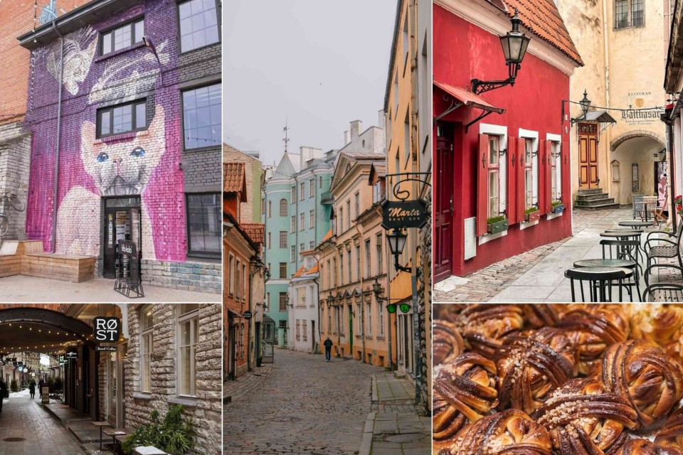 <p data-start="98" data-end="164"><strong data-start="98" data-end="164">Colourful streets, cosy caf&eacute;s and a calm Baltic vibe&nbsp;</strong></p>
<p data-start="166" data-end="495">Estonia&rsquo;s capital combines medieval charm with creative corners. In <strong data-start="234" data-end="254">Tallinn Old Town</strong> you can walk along cobblestone lanes lined with pastel houses, small boutiques and traditional caf&eacute;s. Areas like <strong data-start="368" data-end="390">Masters&rsquo; Courtyard</strong> and <strong data-start="395" data-end="422">St. Catherine&rsquo;s Passage</strong> keep the historic atmosphere alive with local crafts and quiet walkways.&nbsp;</p>
<p data-start="497" data-end="771">For something modern head to <strong data-start="526" data-end="554">Telliskivi Creative City</strong>, where murals, independent shops and coffee spots such as <strong data-start="613" data-end="628">ROST Bakery</strong> bring a more urban side to the city. Caf&eacute;s and bakeries often serve sweet treats like the local cinnamon knots that appear throughout Estonia.&nbsp;</p>
<p data-start="773" data-end="865" data-is-last-node="" data-is-only-node="">#Estonia #Tallinn #OldTownTallinn #VisitEstonia #Telliskivi #BalticTravel #EuropeanCityBreak</p>