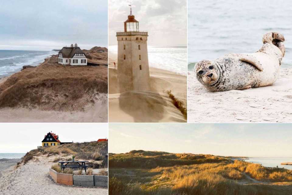 <p class="isSelectedEnd">Where two seas meet and the land turns into endless dunes, <strong>Skagen</strong> shows the quiet beauty of northern Denmark. Walk along wide sandy beaches, pass pastel beach houses and climb the shifting dunes shaped by wind and light.</p>
<p class="isSelectedEnd">Visit the iconic <strong>Skagen Lighthouse</strong>, spot seals resting on the shore and end the day with golden-hour views over the North Sea. Skagen is about fresh air, slow days and a feeling of space you rarely find elsewhere.</p>
<p>#Denmark #Skagen #VisitDenmark #NordicCoast #SeasideEscape #SlowTravel #NatureLovers #ExploreEurope #TravelInspiration</p>