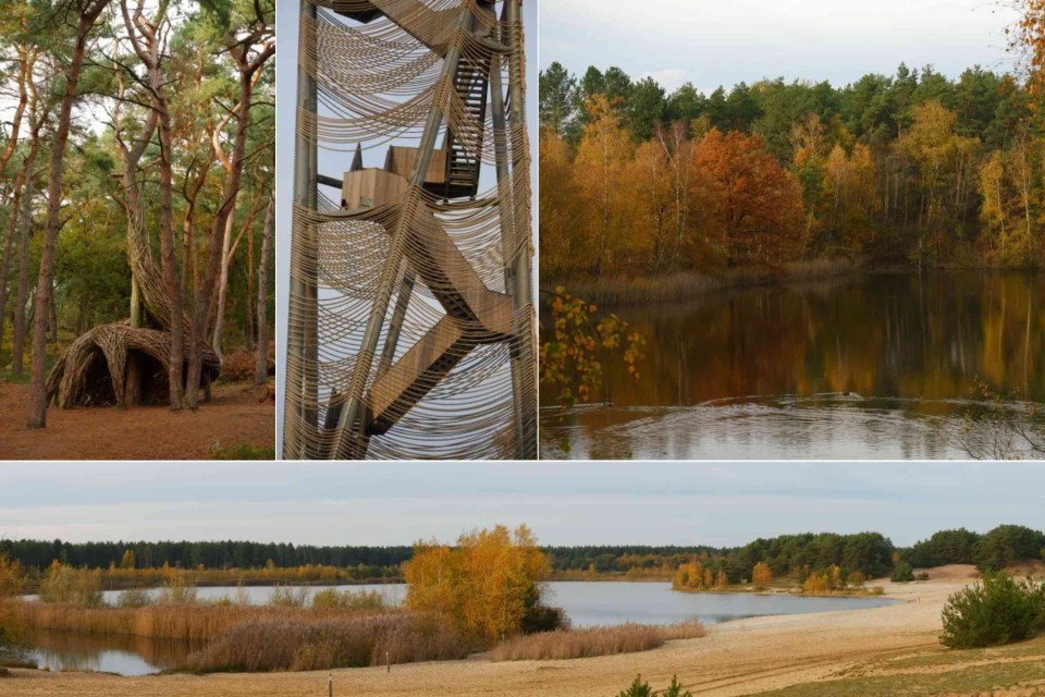 <p data-start="100" data-end="143"><strong><em data-start="100" data-end="136"><span class="BZ_Pyq_fadeIn">You </span><span class="BZ_Pyq_fadeIn">won&rsquo;t </span><span class="BZ_Pyq_fadeIn">believe </span><span class="BZ_Pyq_fadeIn">this </span><span class="BZ_Pyq_fadeIn">is </span><span class="BZ_Pyq_fadeIn">Belgium&hellip;</span></em></strong></p>
<p data-start="150" data-end="369"><span class="BZ_Pyq_fadeIn">Hidden </span><span class="BZ_Pyq_fadeIn">in </span><span class="BZ_Pyq_fadeIn">the </span><span class="BZ_Pyq_fadeIn">north </span><span class="BZ_Pyq_fadeIn">of </span><span class="BZ_Pyq_fadeIn">Limburg, </span><span class="BZ_Pyq_fadeIn">the </span><strong><span class="BZ_Pyq_fadeIn">Sahara </span><span class="BZ_Pyq_fadeIn">of </span></strong><span class="BZ_Pyq_fadeIn"><strong>Lommel</strong> </span><span class="BZ_Pyq_fadeIn">feels </span><span class="BZ_Pyq_fadeIn">like </span><span class="BZ_Pyq_fadeIn">a </span><span class="BZ_Pyq_fadeIn">completely </span><span class="BZ_Pyq_fadeIn">different </span><span class="BZ_Pyq_fadeIn">world. </span><span class="BZ_Pyq_fadeIn">Golden </span><span class="BZ_Pyq_fadeIn">sand </span><span class="BZ_Pyq_fadeIn">dunes </span><span class="BZ_Pyq_fadeIn">stretch </span><span class="BZ_Pyq_fadeIn">along </span><span class="BZ_Pyq_fadeIn">peaceful </span><span class="BZ_Pyq_fadeIn">lakes, </span><span class="BZ_Pyq_fadeIn">surrounded </span><span class="BZ_Pyq_fadeIn">by </span><span class="BZ_Pyq_fadeIn">dense </span><span class="BZ_Pyq_fadeIn">pine </span><span class="BZ_Pyq_fadeIn">forests </span><span class="BZ_Pyq_fadeIn">that </span><span class="BZ_Pyq_fadeIn">make </span><span class="BZ_Pyq_fadeIn">the </span><span class="BZ_Pyq_fadeIn">landscape </span><span class="BZ_Pyq_fadeIn">even </span><span class="BZ_Pyq_fadeIn">more </span><span class="BZ_Pyq_fadeIn">magical.</span></p>
<p data-start="376" data-end="602"><span class="BZ_Pyq_fadeIn">Climb </span><span class="BZ_Pyq_fadeIn">the </span><span class="BZ_Pyq_fadeIn">wooden </span><span class="BZ_Pyq_fadeIn">lookout </span><span class="BZ_Pyq_fadeIn">tower </span><span class="BZ_Pyq_fadeIn">for </span><span class="BZ_Pyq_fadeIn">panoramic </span><span class="BZ_Pyq_fadeIn">views, </span><span class="BZ_Pyq_fadeIn">wander </span><span class="BZ_Pyq_fadeIn">through </span><span class="BZ_Pyq_fadeIn">the </span><span class="BZ_Pyq_fadeIn">soft </span><span class="BZ_Pyq_fadeIn">sand </span><span class="BZ_Pyq_fadeIn">or </span><span class="BZ_Pyq_fadeIn">simply </span><span class="BZ_Pyq_fadeIn">enjoy </span><span class="BZ_Pyq_fadeIn">the </span><span class="BZ_Pyq_fadeIn">calm </span><span class="BZ_Pyq_fadeIn">atmosphere </span><span class="BZ_Pyq_fadeIn">by </span><span class="BZ_Pyq_fadeIn">the </span><span class="BZ_Pyq_fadeIn">water. </span><span class="BZ_Pyq_fadeIn">It&rsquo;s </span><span class="BZ_Pyq_fadeIn">the </span><span class="BZ_Pyq_fadeIn">perfect </span><span class="BZ_Pyq_fadeIn">place </span><span class="BZ_Pyq_fadeIn">to </span><span class="BZ_Pyq_fadeIn">slow </span><span class="BZ_Pyq_fadeIn">down, </span><span class="BZ_Pyq_fadeIn">breathe </span><span class="BZ_Pyq_fadeIn">in </span><span class="BZ_Pyq_fadeIn">nature </span><span class="BZ_Pyq_fadeIn">and </span><span class="BZ_Pyq_fadeIn">discover </span><span class="BZ_Pyq_fadeIn">a </span><span class="BZ_Pyq_fadeIn">unique </span><span class="BZ_Pyq_fadeIn">side </span><span class="BZ_Pyq_fadeIn">of </span><span class="BZ_Pyq_fadeIn">Belgium.</span></p>
<p data-start="609" data-end="715"><span class="BZ_Pyq_fadeIn">Whether </span><span class="BZ_Pyq_fadeIn">you're </span><span class="BZ_Pyq_fadeIn">here </span><span class="BZ_Pyq_fadeIn">for </span><span class="BZ_Pyq_fadeIn">a </span><span class="BZ_Pyq_fadeIn">walk, </span><span class="BZ_Pyq_fadeIn">a </span><span class="BZ_Pyq_fadeIn">photo </span><span class="BZ_Pyq_fadeIn">spot </span><span class="BZ_Pyq_fadeIn">or </span><span class="BZ_Pyq_fadeIn">a </span><span class="BZ_Pyq_fadeIn">quiet </span><span class="BZ_Pyq_fadeIn">escape, </span><span class="BZ_Pyq_fadeIn">this </span><span class="BZ_Pyq_fadeIn">hidden </span><span class="BZ_Pyq_fadeIn">gem </span><span class="BZ_Pyq_fadeIn">is </span><span class="BZ_Pyq_fadeIn">well </span><span class="BZ_Pyq_fadeIn">worth </span><span class="BZ_Pyq_fadeIn">a </span><span class="BZ_Pyq_fadeIn">visit.</span></p>
<p data-start="609" data-end="715"><span class="BZ_Pyq_fadeIn">#</span><span class="BZ_Pyq_fadeIn">LommelseSahara #</span><span class="BZ_Pyq_fadeIn">Lommel #</span><span class="BZ_Pyq_fadeIn">VisitBelgium #</span><span class="BZ_Pyq_fadeIn">HiddenGem #</span><span class="BZ_Pyq_fadeIn">BelgiumNature</span></p>