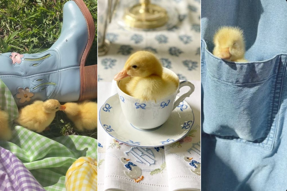 <p class="isSelectedEnd"><strong>Easter moments in Friesland</strong></p>
<p class="isSelectedEnd">Spring in Friesland brings soft countryside scenes and a quiet, peaceful atmosphere. From fresh mornings outdoors to simple moments in nature, it is a time to slow down and enjoy the season.</p>
<p class="isSelectedEnd">With new life all around and longer days ahead, Easter is the perfect moment to step outside and take it all in.</p>
<p class="isSelectedEnd">A calm and authentic side of the Netherlands.</p>
<p>#Easter #Friesland #Netherlands #SpringVibes #SlowTravel #countryside</p>
