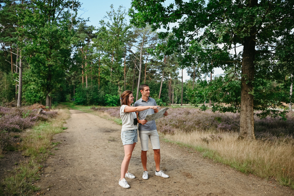 <p>Trek je wandelschoenen aan en ontdek de <strong>wandelzoektocht</strong> van <a title="Wandelzoektocht Wandelknooppunt.be" href="https://zoektochten.wandelknooppunt.be/nl" target="_blank" rel="noopener">Wandelknooppunt </a>in Kasterlee. Je volgt een route van zo'n 11 tot 13 kilometer langs het wandelknooppuntennetwerk. Onderweg ga je <strong>op zoek naar 12</strong> <strong>gefotografeerde objecten</strong>. Geef je antwoorden door en win mooie prijzen.&nbsp;</p>
<p><strong>Klaar om te speuren in het groen van de Kempense Heuvelrug. Schrijf je in en start je speurtocht.</strong>&nbsp;</p>
<p>Veel plezier!</p>