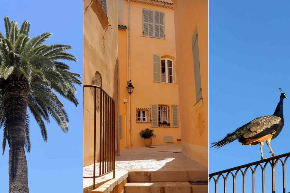 <p data-start="232" data-end="311"><strong>Some corners of Saint-Tropez feel untouched by time.</strong></p>
<p data-start="313" data-end="567">Near <a href="https://book.hotel.eu/hotels/lp89753?source=hotels&amp;placeId=43.273126%2C6.640824">H&ocirc;tel La Ponche</a>, narrow streets open into quiet courtyards where soft colours reflect the warmth of the sun and every detail feels effortlessly simple. Palm trees sway gently, shutters remain half open and the pace of the day slows without notice.</p>
<p data-start="569" data-end="714">It is in these small, hidden corners that Saint-Tropez reveals a different side &mdash; calm, understated and far removed from the busy harbour life.</p>
<p data-start="833" data-end="897">#sainttropez #laponche #frenchriviera #travelvibes #wanderlust</p>