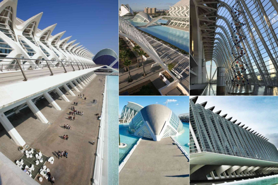 <p class="isSelectedEnd"><a href="https://www.getyourguide.nl/valencia-l49/valencia-principe-felipe-wetenschapsmuseum-ticket-t414583/?partner_id=GZ1KO7T&amp;utm_medium=travel_agent"><strong>The Pr&iacute;ncipe Felipe Science Museum</strong></a> in Valencia is part of the City of Arts and Sciences and focuses on interactive learning and scientific exploration. The building, designed by Santiago Calatrava, stands out for its structural design and open interior layout.</p>
<p class="isSelectedEnd">The museum presents science through hands-on exhibits that cover topics such as technology, biology and space. Visitors are encouraged to engage directly with installations, making the experience more practical than observational. This approach positions the museum as an educational space rather than a traditional exhibition venue.</p>
<p class="isSelectedEnd">Its location within the City of Arts and Sciences connects it to a broader cultural environment that includes architecture, science and public space. The result is a setting where design and content support each other without distraction.</p>
<p class="isSelectedEnd">Do you prefer museums that are interactive or more traditional in their presentation? Share your view.</p>
<p>#artandculture #Spain #Valencia #ScienceMuseum #Architecture #citybreak</p>