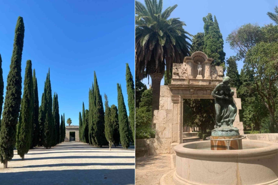 <p class="isSelectedEnd">Jardines del Real, also known as <strong>Viveros Garden</strong>, is one of Valencia&rsquo;s main public green spaces with historical roots linked to the former Royal Palace. Today, it functions as a landscaped park that combines formal gardens, open areas and cultural use.</p>
<p class="isSelectedEnd">The layout includes tree-lined paths, sculptures and botanical sections that reflect both design and conservation. While much of the original palace no longer exists, the site maintains its historical relevance through its structure and continued public access.</p>
<p class="isSelectedEnd">The park is also used for events, exhibitions and seasonal activities, positioning it as more than a recreational space. It operates as part of the city&rsquo;s cultural network, where nature, history and public life intersect.</p>
<p class="isSelectedEnd">Do you see public gardens as cultural spaces or mainly as places to relax? Share your view.</p>
<p>#artandculture #Spain #Valencia #PublicSpace #UrbanNature</p>