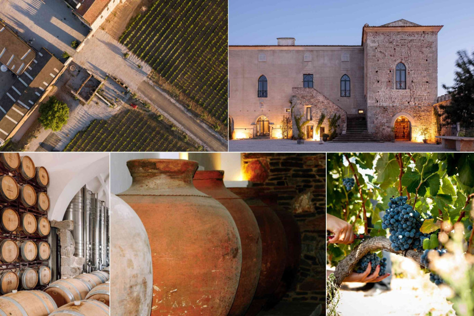 <p data-start="92" data-end="169"><strong data-start="92" data-end="169">Alentejo, Portugal&rsquo;s rising destination for wine, culture and slow travel</strong></p>
<p data-start="171" data-end="444"><strong>Alentejo is quickly becoming one of Portugal&rsquo;s most exciting regions</strong>, known for its vast landscapes, historic towns and strong cultural identity. Located between Lisbon and the Algarve, the region offers a more authentic and relaxed travel experience, بعيد from the crowds.</p>
<p data-start="446" data-end="850">In 2026, Baixo Alentejo will take centre stage as European Wine City, celebrating both its rich winemaking traditions and modern innovations. Visitors can discover unique methods such as talha wine, aged in traditional clay amphorae, alongside organic and contemporary wine production. Throughout the year, the region will host festivals, tastings and events across towns like Beja, Vidigueira and Serpa.</p>
<p data-start="852" data-end="1171">Looking ahead, <strong>&Eacute;vora will become European Capital of Culture in 2027</strong>. This UNESCO-listed city will present an extensive programme focused on creativity, sustainability and community. Under the theme of slow living and mindful travel, &Eacute;vora aims to offer visitors a deeper connection to culture, heritage and local life.</p>
<p data-start="1173" data-end="1580">Beyond these highlights, Alentejo invites travellers to explore at their own pace. Rolling vineyards, cork forests, historic architecture and charming villages create a diverse landscape that is ideal for both relaxation and discovery. Whether you are exploring cultural landmarks, enjoying local gastronomy or simply taking in the scenery, the region offers a well-balanced and enriching travel experience.</p>
<p data-start="1582" data-end="1703">👉 Discover more in our <a href="https://lescouleursdumonde.com/p/lescouleursdumonde-magazines">magazine</a><br data-start="1614" data-end="1617"><br></p>








<p data-start="1710" data-end="1797" data-is-last-node="" data-is-only-node="">#portugaltravel #alentejo #wineculture #slowtravel #europeandestinations</p>




&nbsp;