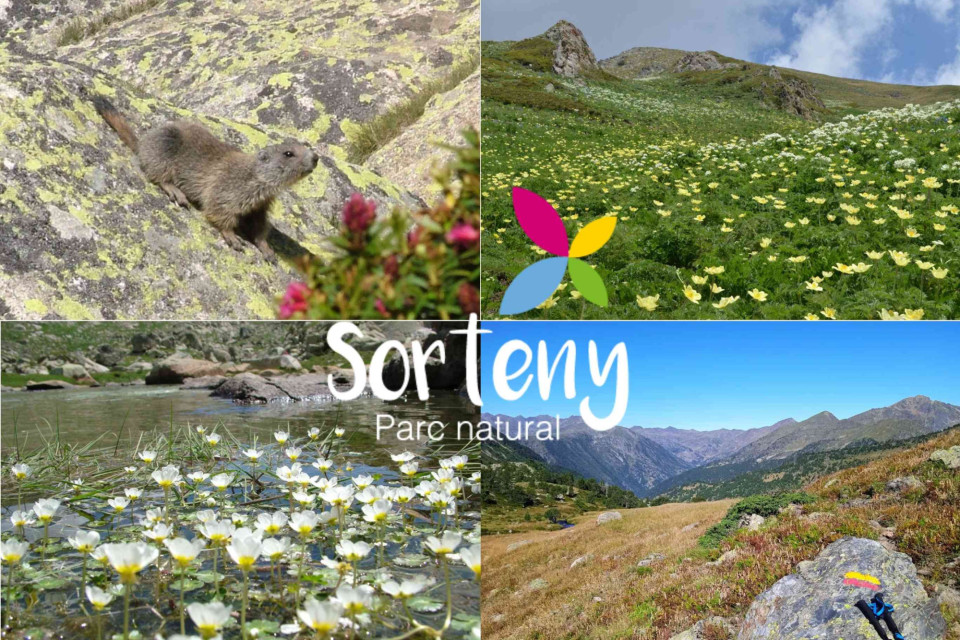 <p class="isSelectedEnd">⛰️ Sorteny Nature Park captures one of the quietest landscapes in Andorra.</p>
<p class="isSelectedEnd"><strong>Hidden in the Ordino Valley</strong>, the park is filled with alpine rivers, pine forests and panoramic trails that slowly open towards the higher peaks of the Pyrenees. During spring and early summer, wildflowers cover the valleys while cold mountain air and flowing rivers shape the atmosphere of the region.</p>
<p class="isSelectedEnd">The experience here is less about reaching a destination and more about moving through the landscape itself &mdash; wooden bridges, narrow forest paths and long silent stretches surrounded by nature.</p>
<p class="isSelectedEnd">Sorteny feels untouched, cinematic and deeply connected to the slower rhythm of mountain life.</p>
<p class="isSelectedEnd"><a href="p/andorra">Ask the map for scenic hiking trails, panoramic viewpoints and hidden routes around Sorteny Nature Park.</a></p>
<p>#Andorra #Sorteny #Pyrenees #SlowTravel #NatureEscape #HiddenEurope #MountainLife #ScenicTrails</p>