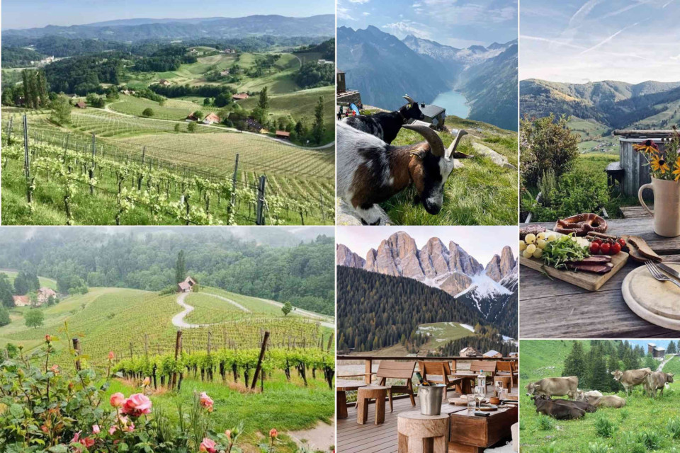 <p class="isSelectedEnd">🍷&nbsp;<strong>A Taste of Austria's Finest Landscapes</strong></p>
<p class="isSelectedEnd">In South Styria, life moves at a different pace. Vineyards follow the curves of the hills, quiet roads connect charming villages and every viewpoint offers a new perspective on the landscape.</p>
<p class="isSelectedEnd">Known as Austria's premier wine region, the South Styrian Wine Road combines outstanding wines, regional cuisine and some of the country's most beautiful scenery. Enjoy a leisurely lunch overlooking the&nbsp;<a class="data-link" href="https://www.getyourguide.com/s/?q=austria+winery&amp;searchSource=3&amp;src=search_bar&amp;partner_id=GZ1KO7T&amp;utm_medium=travel_agent" target="_blank" rel="noopener">vineyards</a>, sample local specialties and take in views that stretch far beyond the rolling hills.</p>
<p class="isSelectedEnd">A region shaped by tradition, hospitality and a deep connection to the land, inviting visitors to savour every moment.</p>
<p>#SouthStyria #VisitAustria #WineCountry #TasteAustria #SlowTravel #AustrianLandscapes</p>